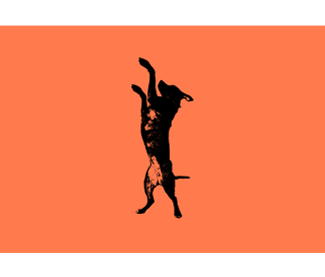 Stonedog Productions