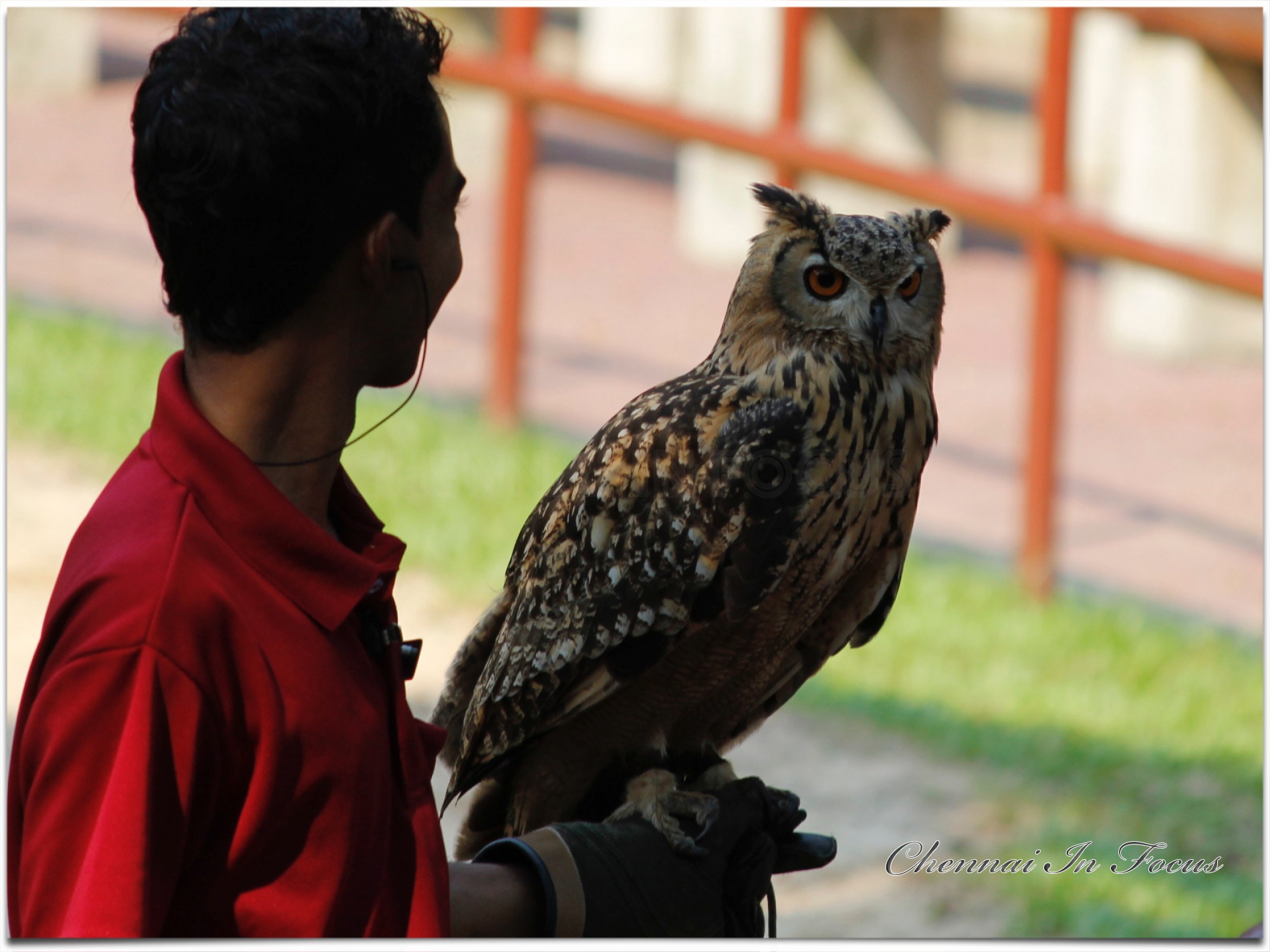 Jurong Bird Park -  Wildlife Reserves Singapore