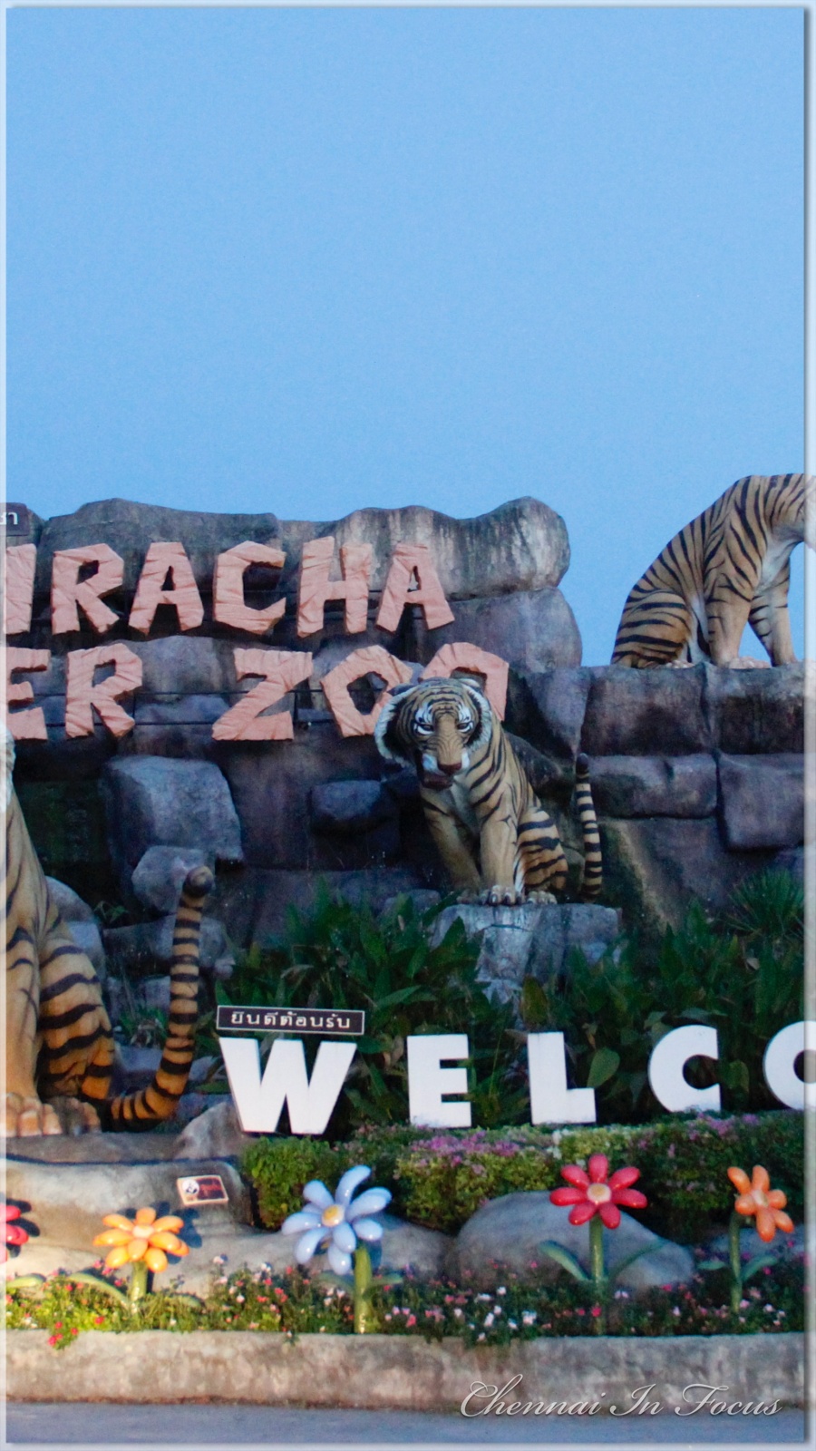 Sriracha Tiger Zoo - Pattaya