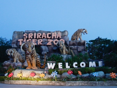 Sriracha Tiger Zoo - Pattaya