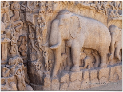  Mahabalipuram | Arjuna's Penance | அர்ச்சுனன் தபசு